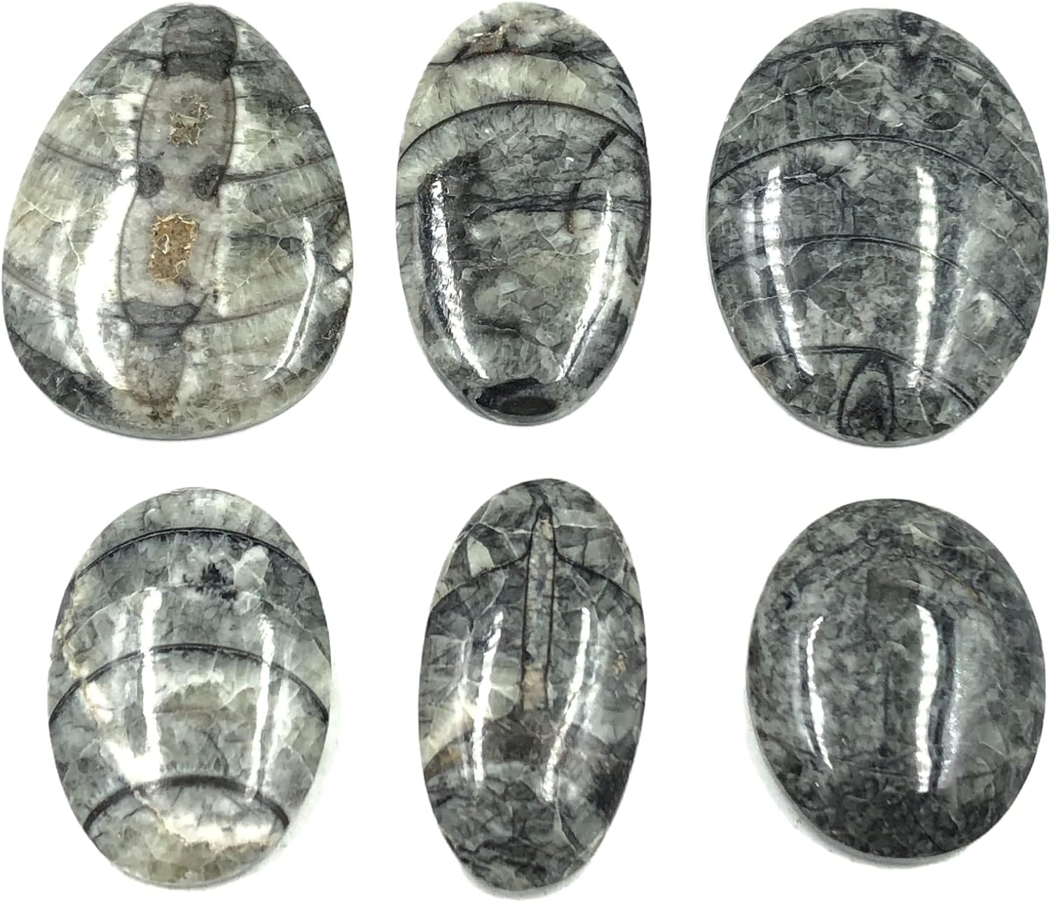 Natural ORTHOCEARS Gemstone Loose Cabochon Lot For Jewelry Making, Loose Gemstone For Ring, Earring & Pendant Necklace, Jewelry Making Cabochons, Healing Gemstones