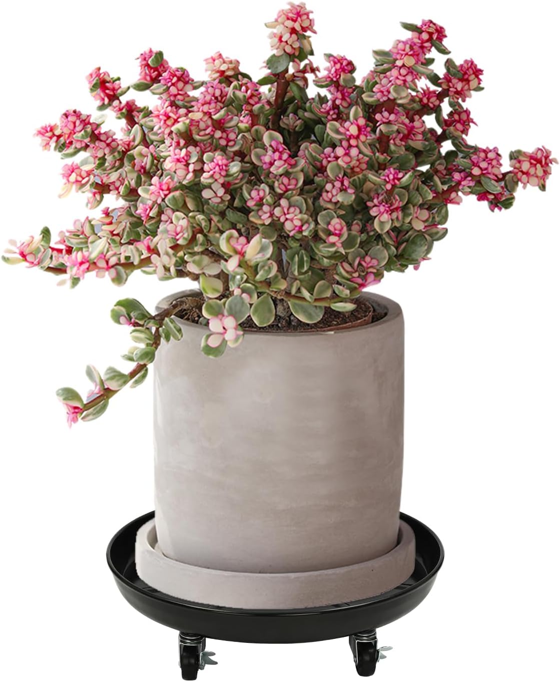 CNCEST Planter Trolley, 16 Inches Heavy Duty Plant Stand with Lockable Wheels, 3pcs Indoor and Outdoor Flowerpot Tray for Flower Trays, Laundry Baskets, Household Appliances, Wine Barrels (Black)