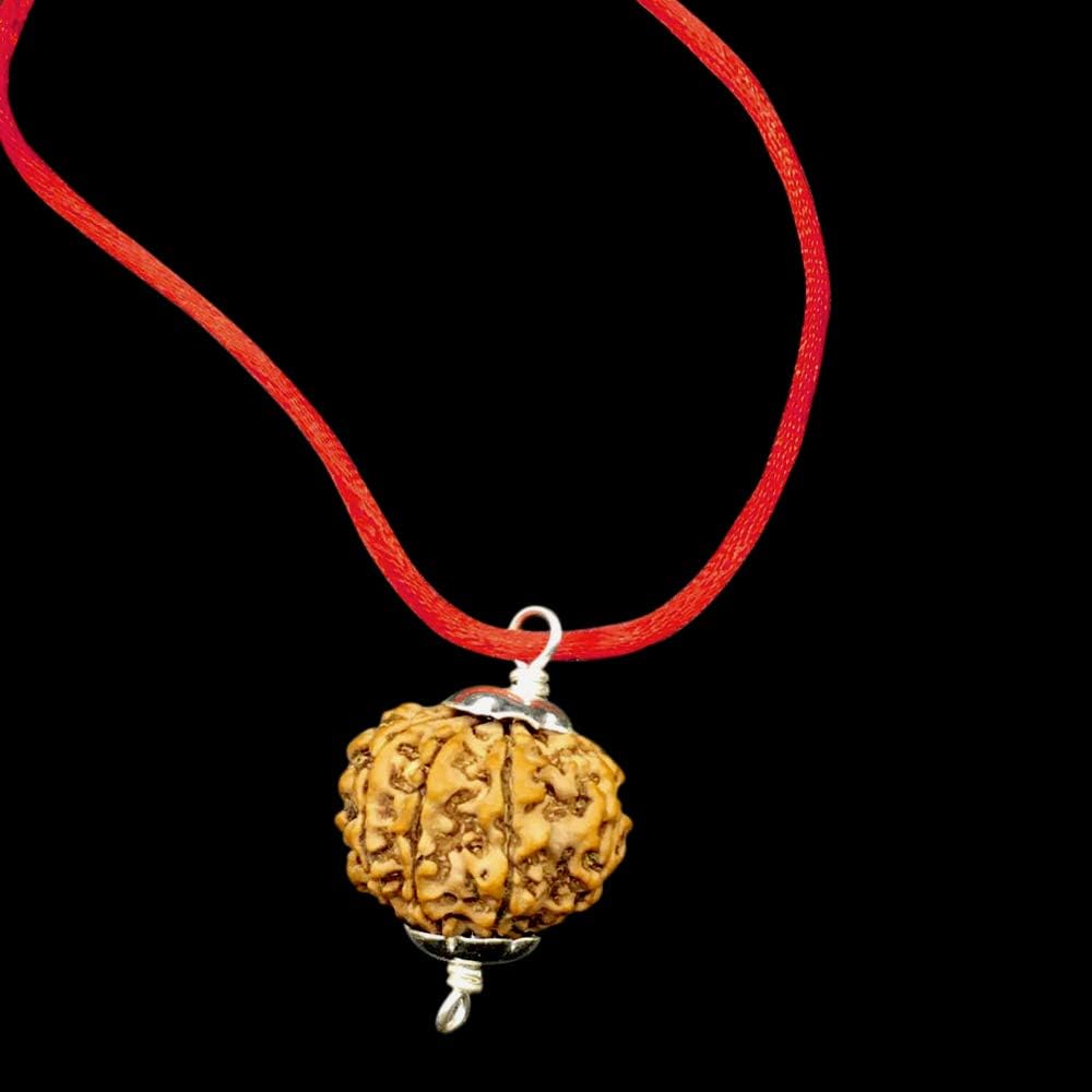 10 Mukhi Nepal Rudraksha /Ten Face/ Lord Vishnu in Pure Silver Pendant IGL Certified 100% Original Geniune Bead All Size (Rare 30mm-32mm)