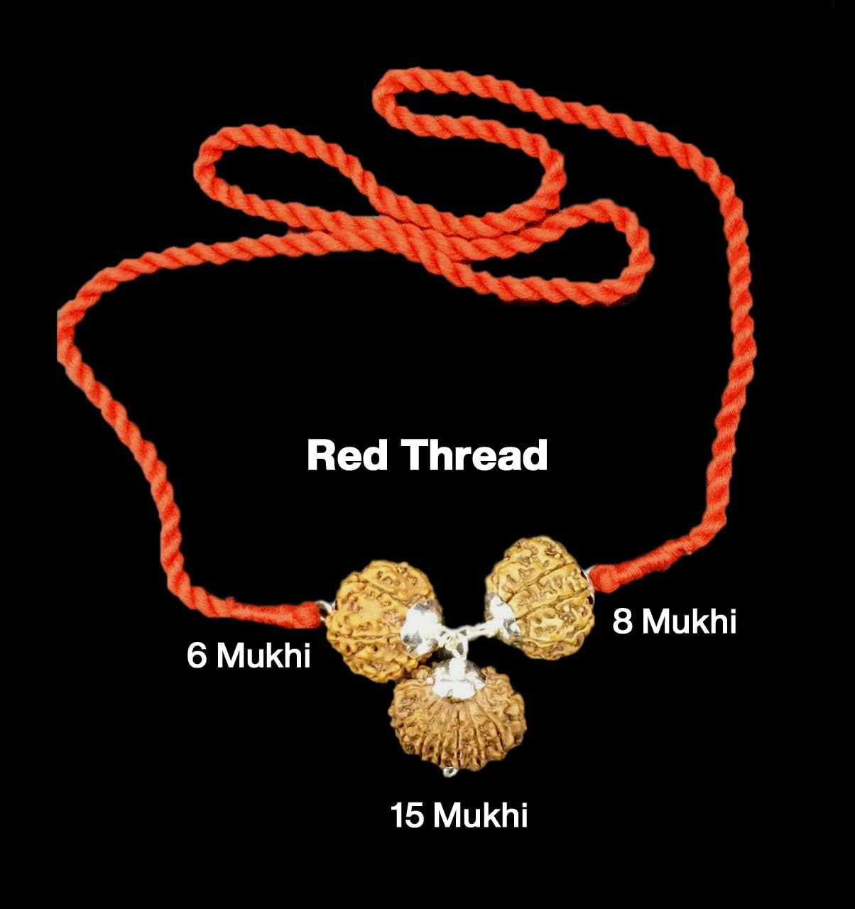 Rudraksha Combination for Business 6,8,15 Mukhi Nepal in Silver Pendant IGL Lab Certified Original Genuine Beads (Small)