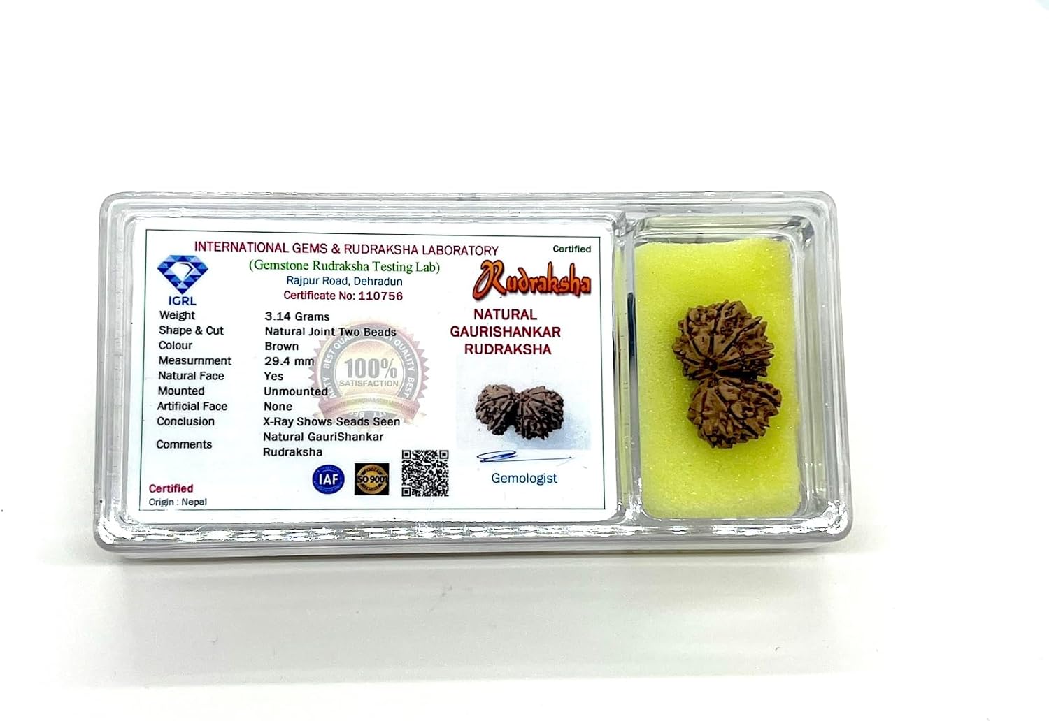 Natural Certified Gauri Shankar Rudraksha Bead from Nepal - Universal Sun Sign - Heart Chakra