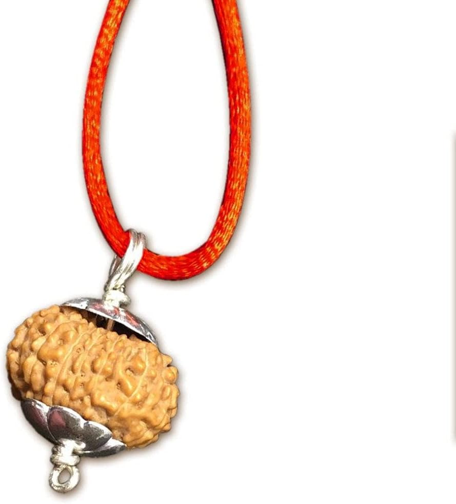 14 Mukhi Indonesian Rudraksha /Fourteen Face Java/ Lord Hanuman in Pure Silver Pendant IGL Certified 100% Original Geniune Bead All Size (Big (18mm-20mm))