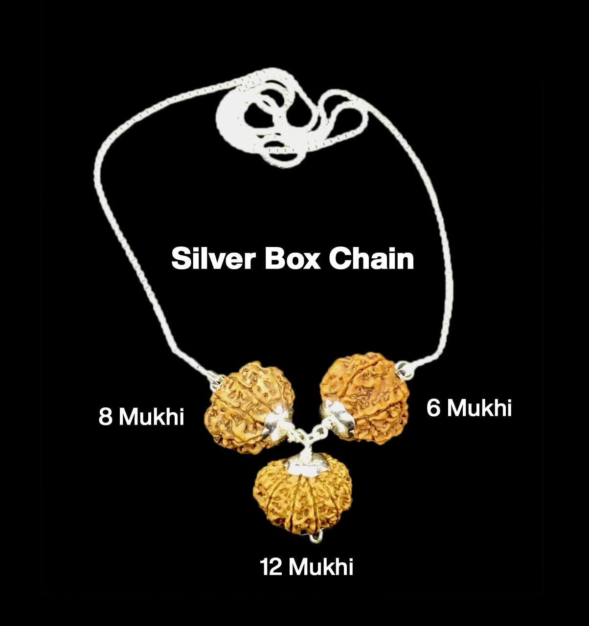 Rudraksha Combination for Business 6,8,12 Mukhi Nepal in Silver Chain IGL Lab Certified Original Genuine Beads (Small)