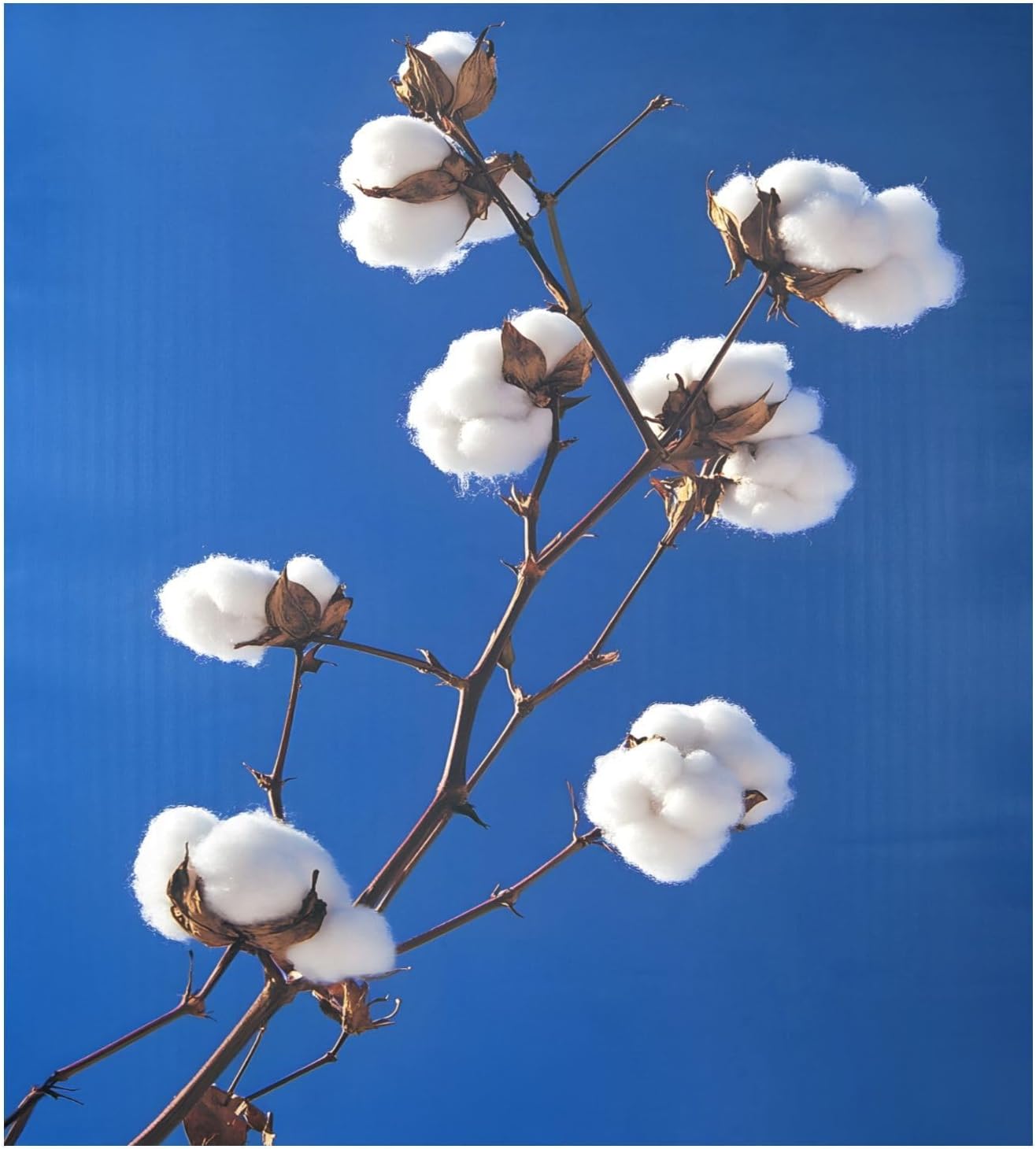 Dishwasher Magnet Cover Large Magnetic Stickers White Cotton Front Dishwasher Cover Reusable Decal for Home Kitchen Anti-Scratch Refrigerator Decorative Lid Washing Machine Laundry 23