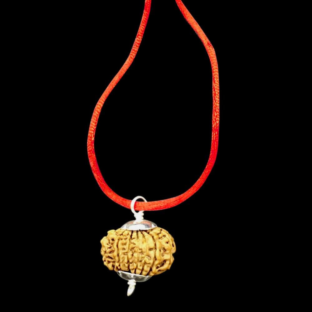 14 Mukhi Nepal Rudraksha /Fourteen Face/ Lord Shiva In Pure Silver Pendant IGL Certified 100% Original Geniune Bead All Size