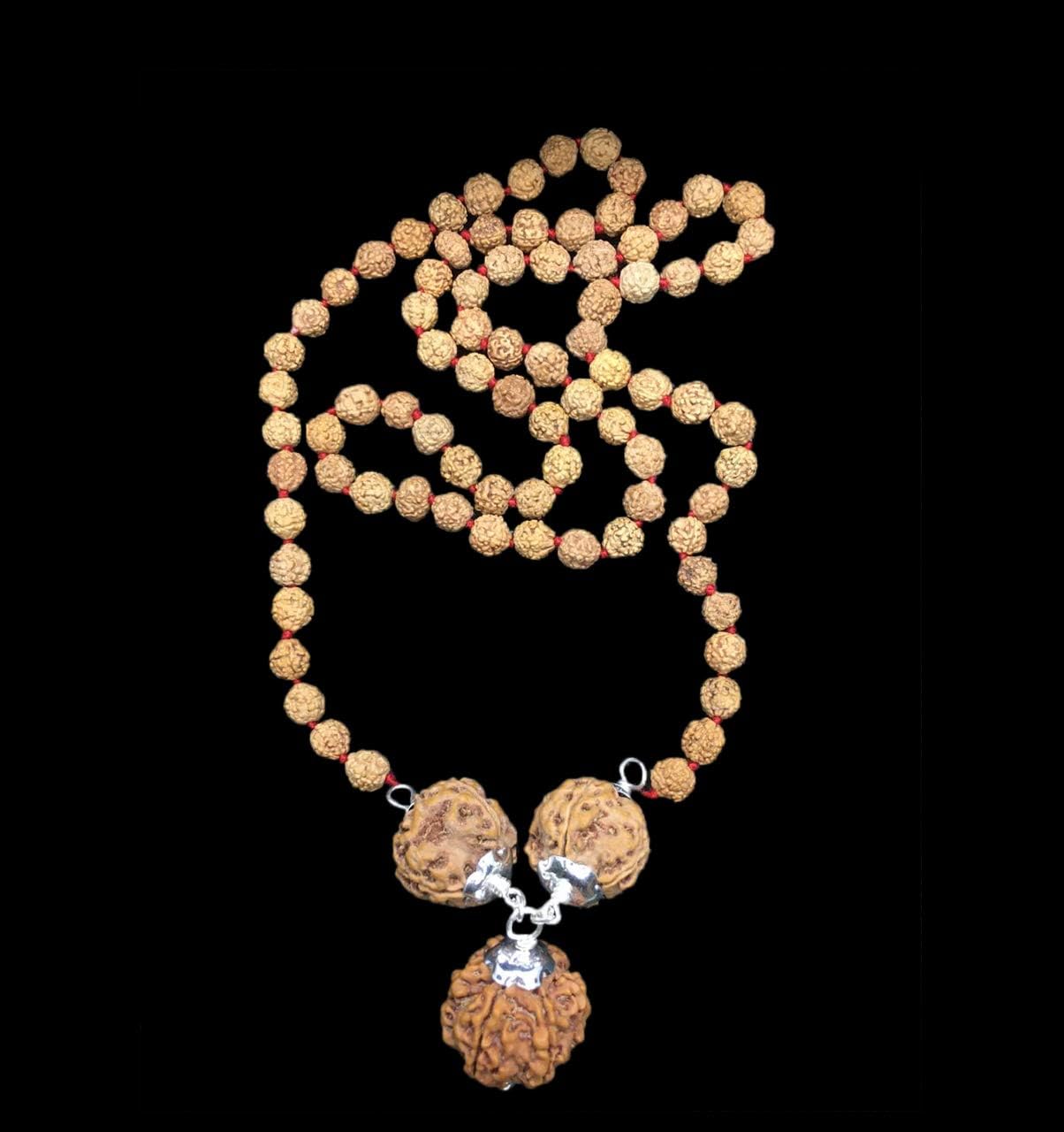 Rudraksha Combination for Students 4,4,6 Mukhi Nepal in Rudraksha Mala IGL Lab Certified Original Genuine Beads (Small)