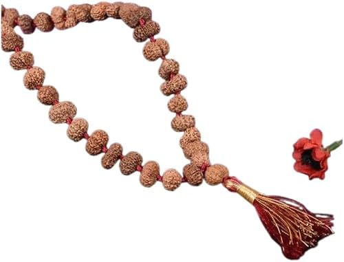 12 Mukhi Java Rudraksha Surya Radiance Mala/ 12 Mukhi Rudraksha Surya Mala from Indonesia in Thread 12 mm (108 + 1 Beads)