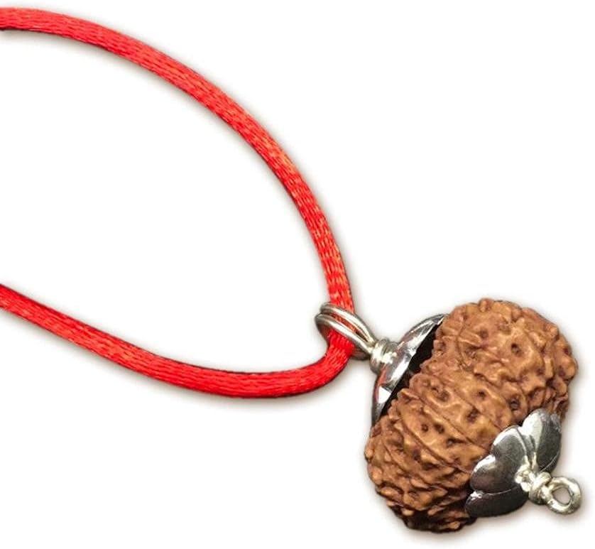 16 Mukhi Rudraksha Pendant from Java (Indonesia) 20mm-22mm Collector Size IGL Lab Certified Original Geniune 100% Natural.