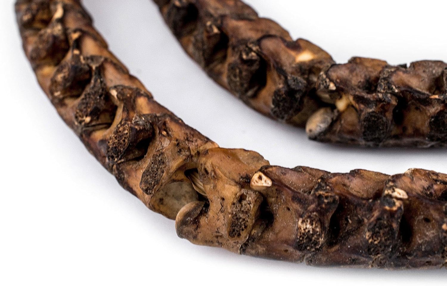 The Bead Chest Real Snake Vertebrae Beads from Africa Extra Large 18mm Nigeria African Brown Interlocking Bone Large Hole 32-34 Inch Strand