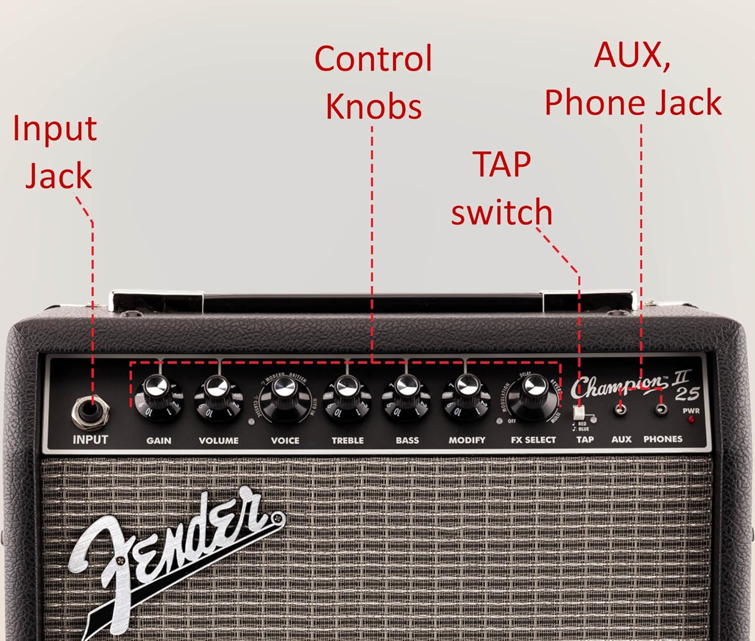 Fender Champion II 25 Watt Guitar Combo Amplifier Bundle with Cable, Austin Bazaar Exclusive 12-Pack Picks, and Instructional Video