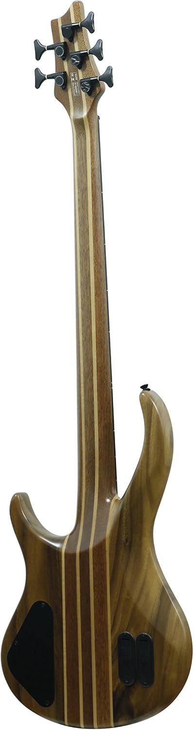IYV 5 String IBW-550 Bass Solid-Body Electric Guitar, Natural