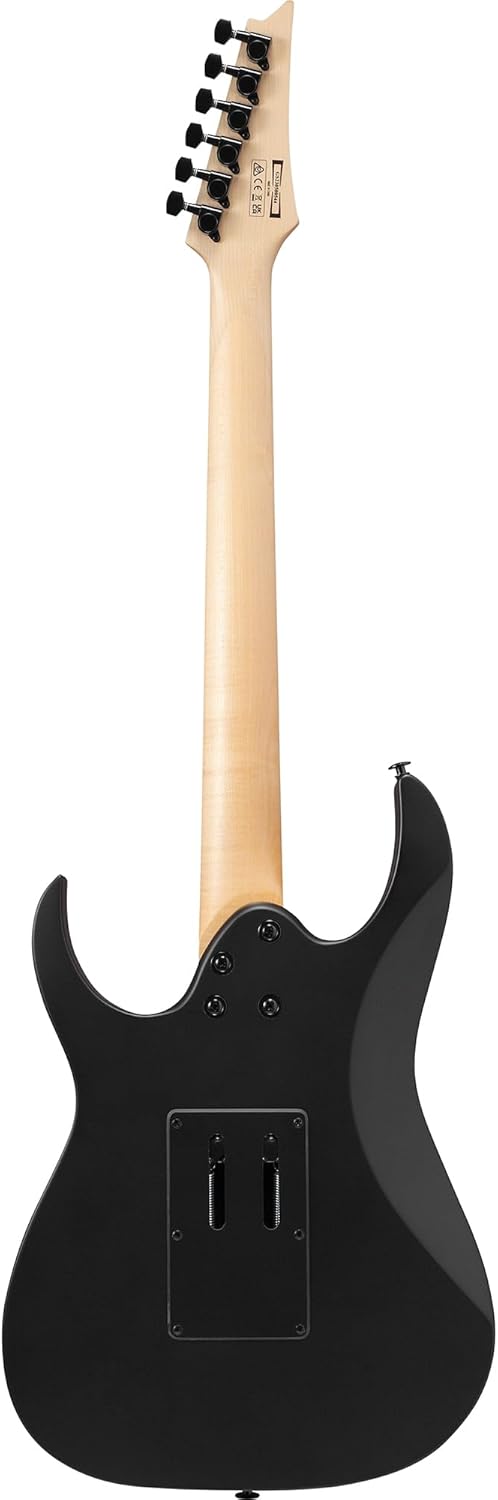 Ibanez GRGR330EX RG GIO Electric Guitar - Black Flat Bundle with Gig Bag, Tuner, Strap, Cable, Austin Bazaar Instructional DVD, and Polishing Cloth