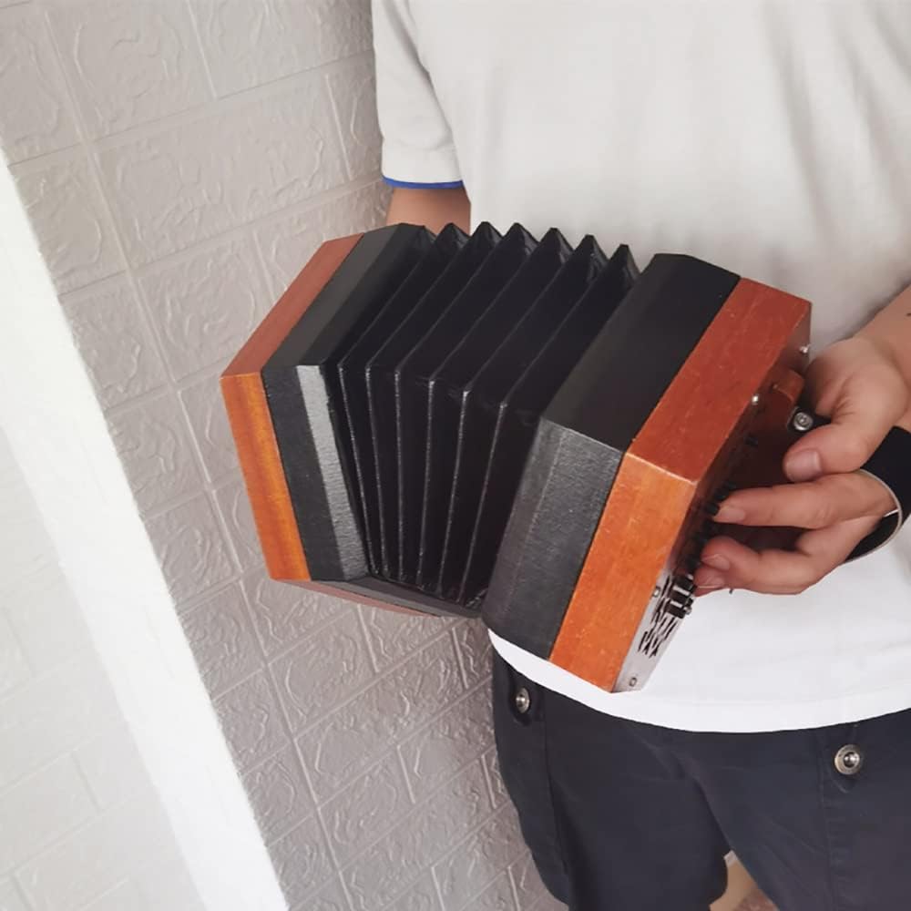 30 Buttons Accordion Concertina, Fascinating Softer Sound, Entry Level Keyboard Instrument, for Children Friends, with Carry Bag