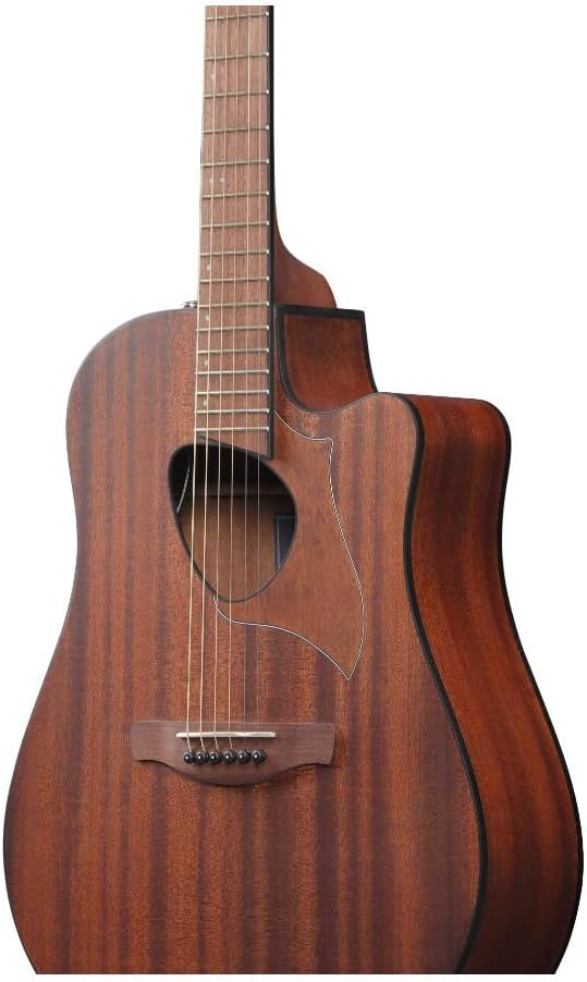 Ibanez ALT20 Altstar Acoustic-Electric Guitar (Open Pore Natural)