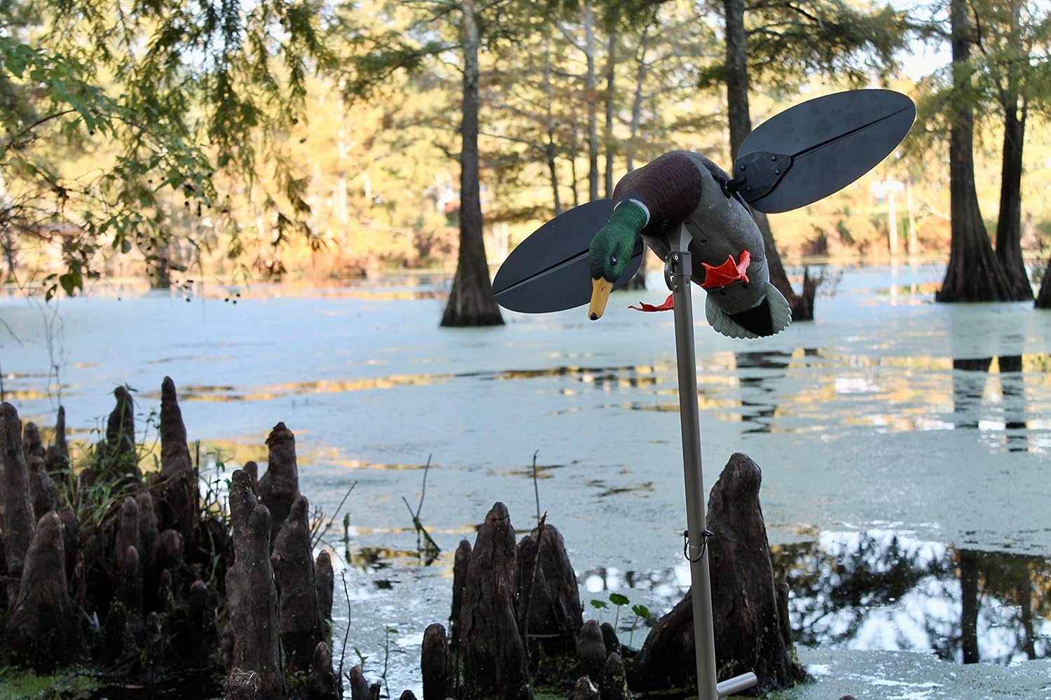 MOJO Outdoors - Premium Waterfowl and Duck Hunting Decoys