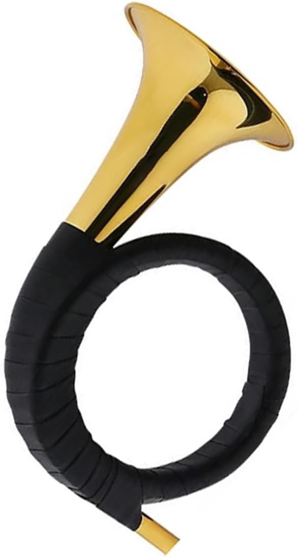 4 Key French Horn Playing Practice French Horn B Flat Brass Instrument For Beginners And Adults(1)