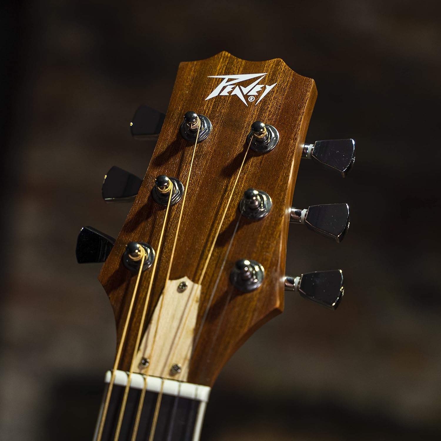 Peavey Delta Woods™ DW-2 CE™ Solid Top Cutaway Acoustic-Electric Guitar with Electronics and Case