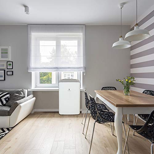 6,000 BTU Portable Air Conditioner Cools 300 sq. ft. with Dehumidifier in White