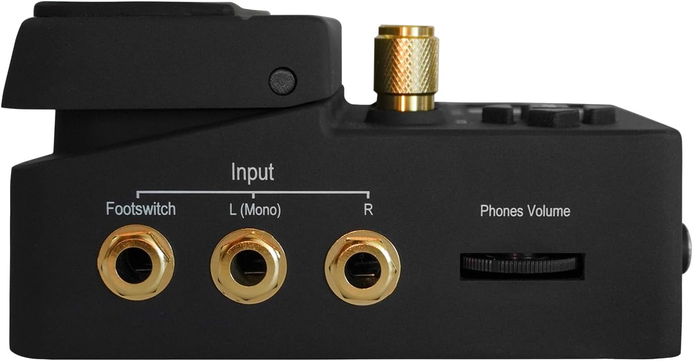 Singular Sound BeatBuddy 10th Anniversary Edition the Only Drum Machine That sounds Human and is Easy To Use