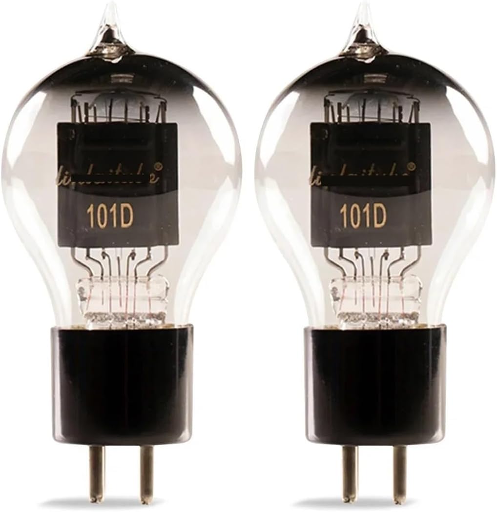 101D Vacuum Tube Audio Valve DIY Amplifier Kit(2 pcs)