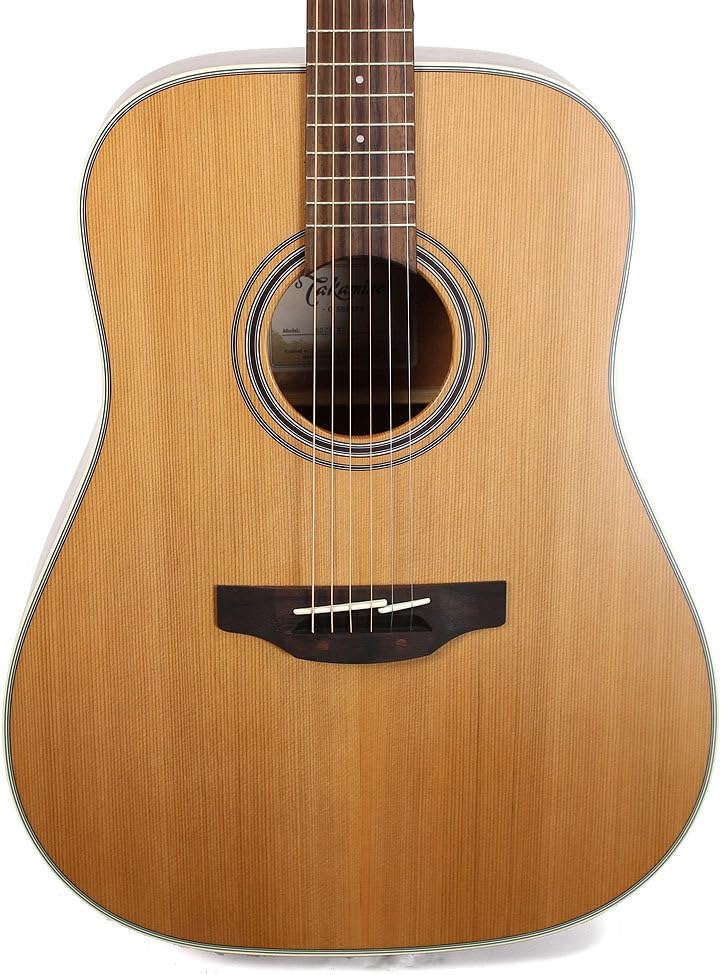 Takamine GD20-NS Dreadnought Acoustic Guitar, Natural