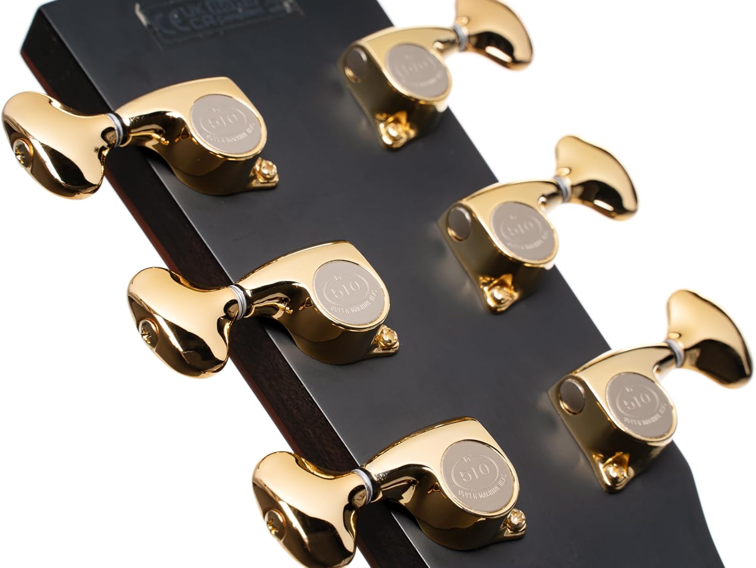 Cort Masterpiece Series Roselyn A/E Guitar With Case