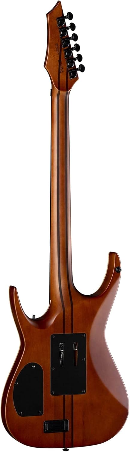 Dean Exile Select Floyd Neck-Thru Archtop, Satin Black Burst, EXILE SEL F NT QM SBB