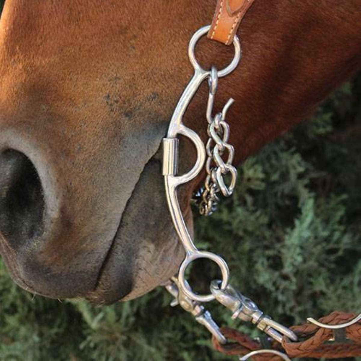 Professional's Choice Derby Bit 6.75