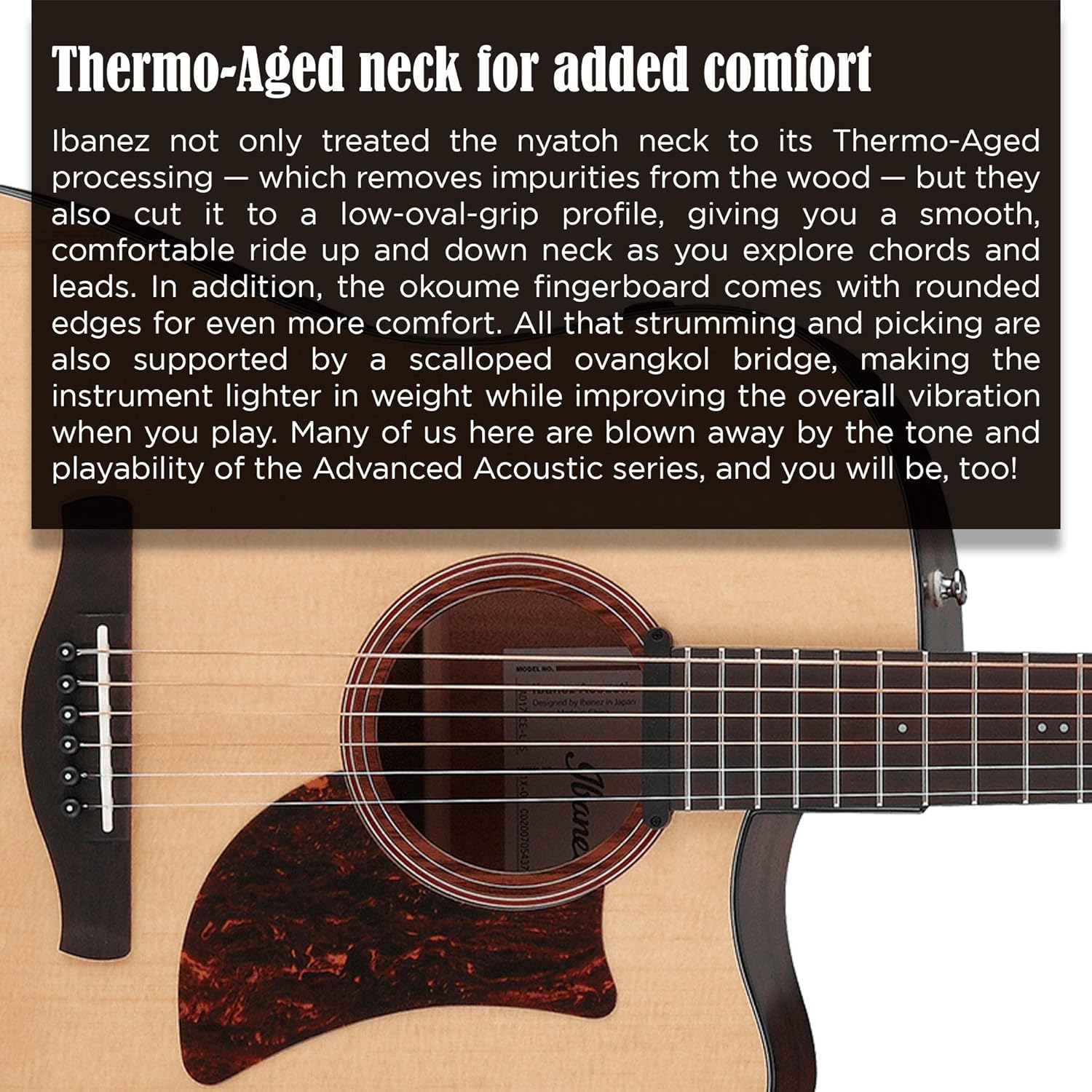 Ibanez Grand Dreadnought Acoustic Electric Guitar with Advanced Access Cutaway body