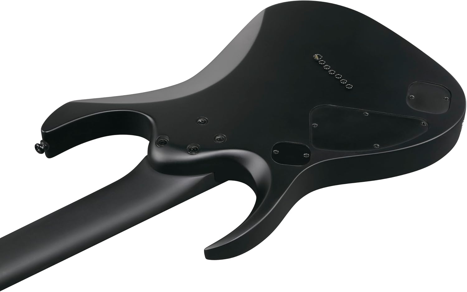 Ibanez RGDRB71 Iron Label 7-String Right-Handed Electric Guitar with Nyatoh Body, Roasted Maple Neck, and Ebony Fingerboard (Black Flat)