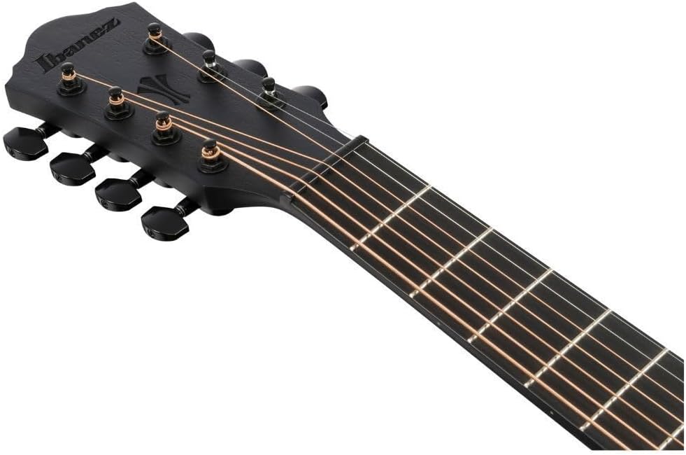 Ibanez AEG721 7-string Acoustic-electric Guitar - Black Out