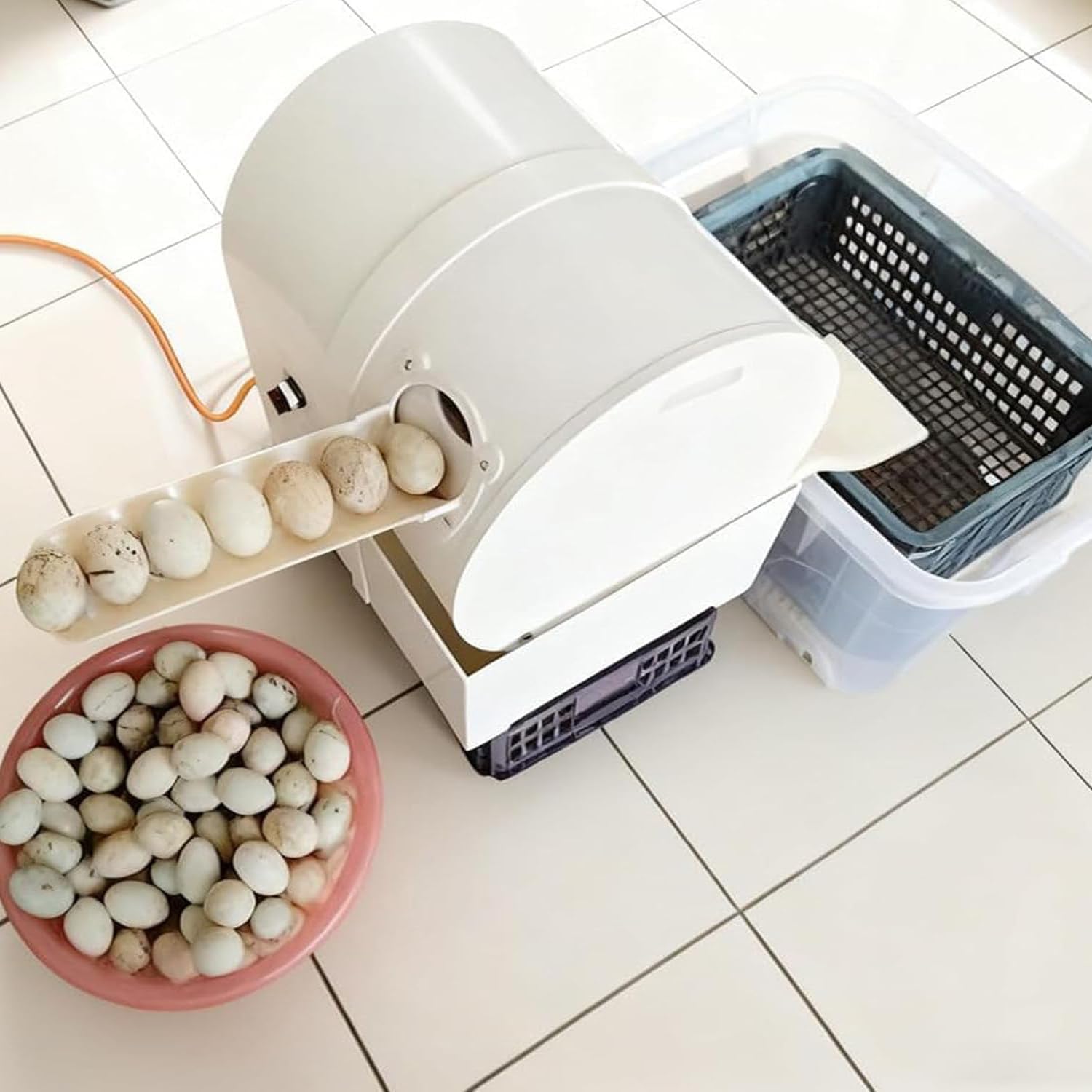 180W Semi-Automatic Egg Cleaning Machine 2000Pcs/H, Electric Egg Washer for Chicken Duck Goose Eggs, Bulk Clean for Farms Schools Restaurants