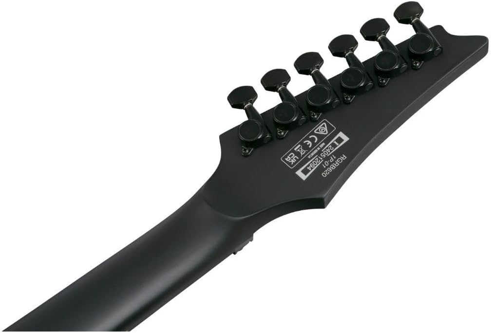 Ibanez RGRB620 Iron Label 6-String Right-Handed Electric Guitar with Nyatoh Body, Maple and Walnut Neck, and Ebony Fingerboard (Black Flat)