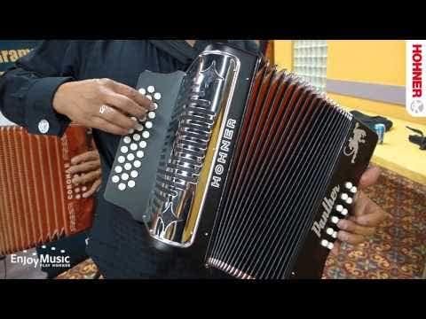HOHNER Accordion, 12â€ x 7.5â€ (3100FB)