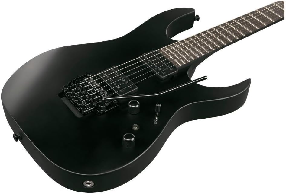 Ibanez RGRB620 Iron Label 6-String Right-Handed Electric Guitar with Nyatoh Body, Maple and Walnut Neck, and Ebony Fingerboard (Black Flat)