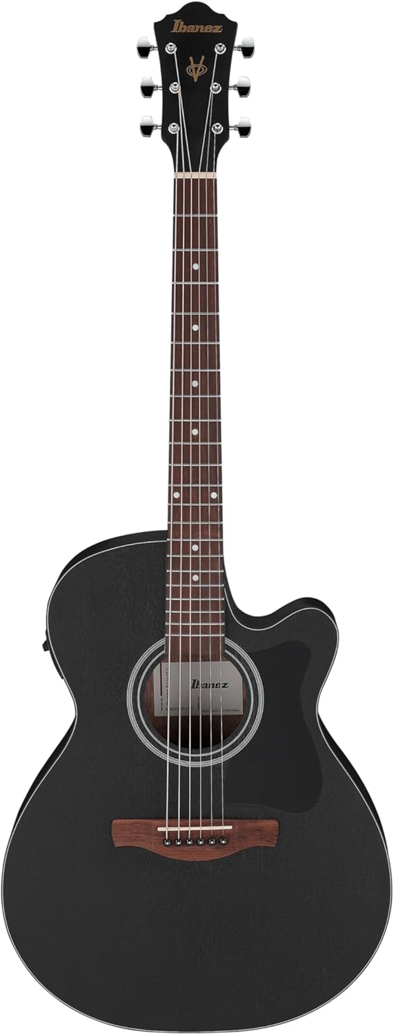 Ibanez Acoustic Guitar / VC44CEWK