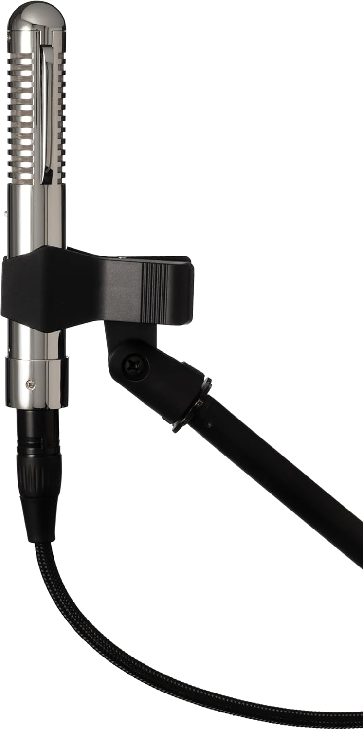 Warm Audio Fen-Tone Instrument Ribbon Microphone with Selectable in-Line Preamp