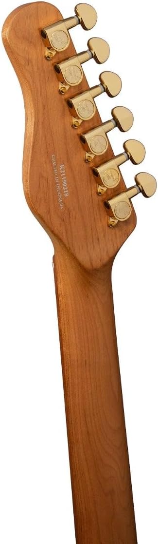 Michael Kelly Mod Shop 50 Duncan Electric Guitar Black Wash