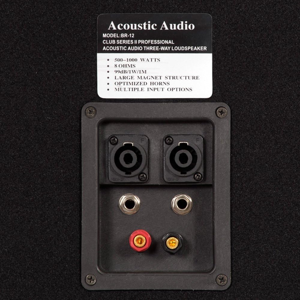 Acoustic Audio BR12 Professional DJ 12