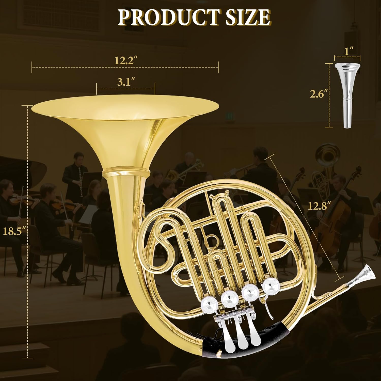 French Horn B Flat, 4 Key Gold Single French Horn Beginner Set for Students & School Bands‌ Brass Lacquer Craft Includes Musical Instrument Box Mouthpiece, Gloves, Cleaning Kit