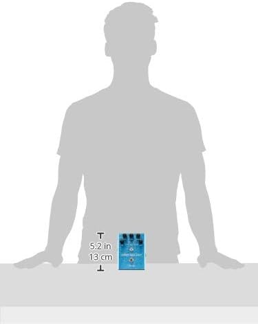 Fender Mirror Image Delay Pedal