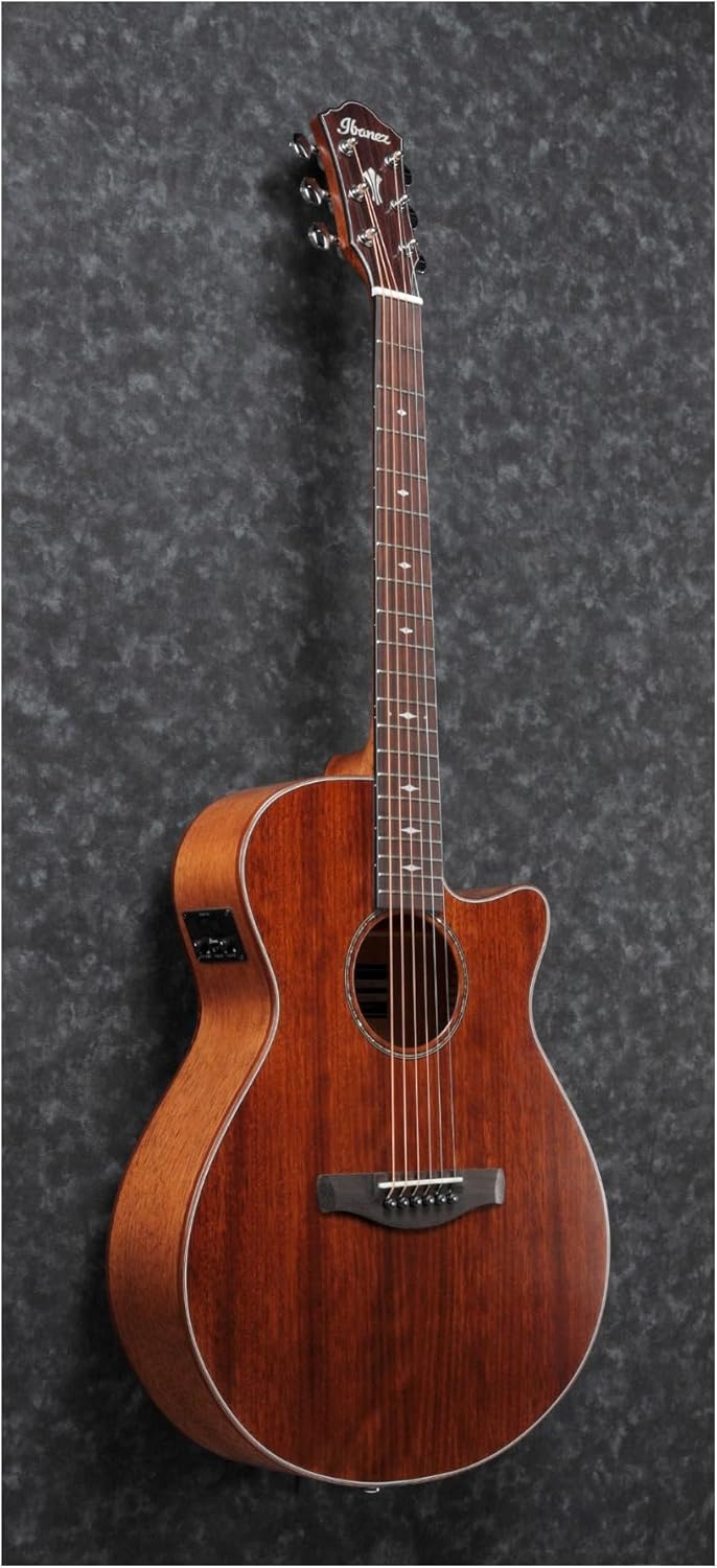 Ibanez AEG220 Okoume Acoustic-Electric Guitar, Natural Low Gloss