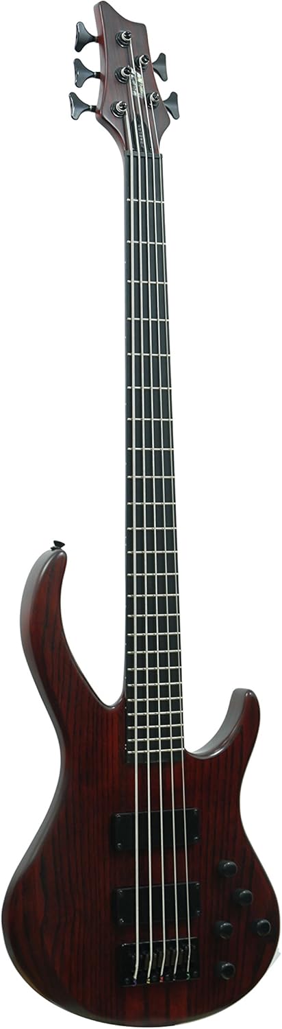 Unknown ivy 5 String Electric Bass, trans red (IBA-500)