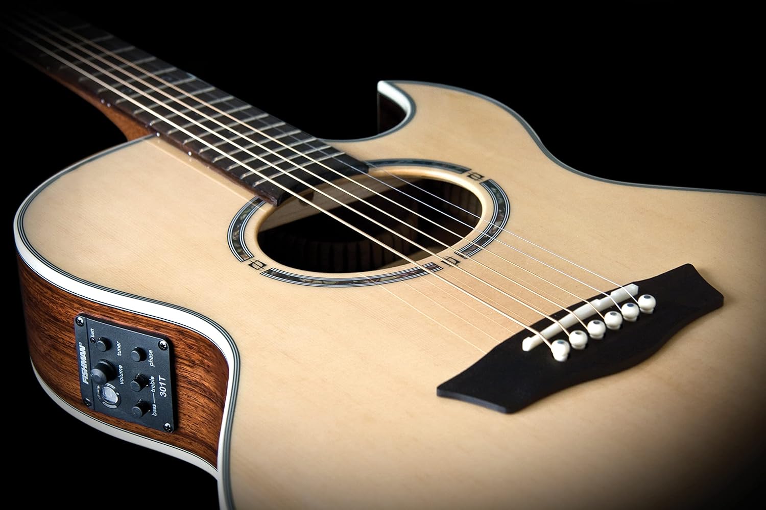 Washburn Festival Series 6 String Acoustic-Electric Guitar, Right, Natural (EA20SNB-O)