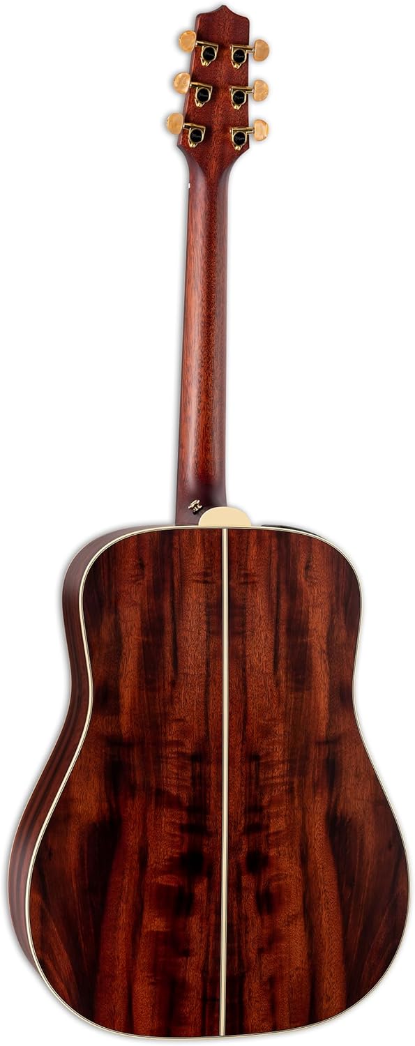 Takamine FN15AR Acoustic-electric Guitar - Natural