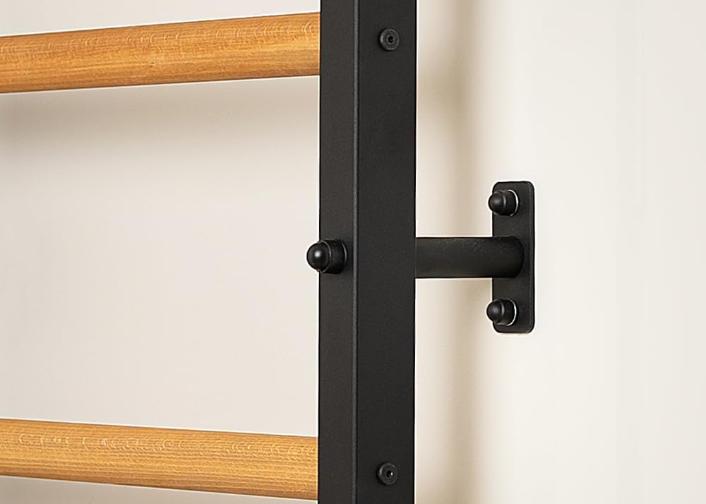 211B+A076 Wallbars, Stall Bars, Swedish Ladder, Gymnastic Ladder with 8 Beech Oval Rungs, Adjustable Beech Wooden Pull Up Bar and Gymnastic Accessories Such as Wooden Rings