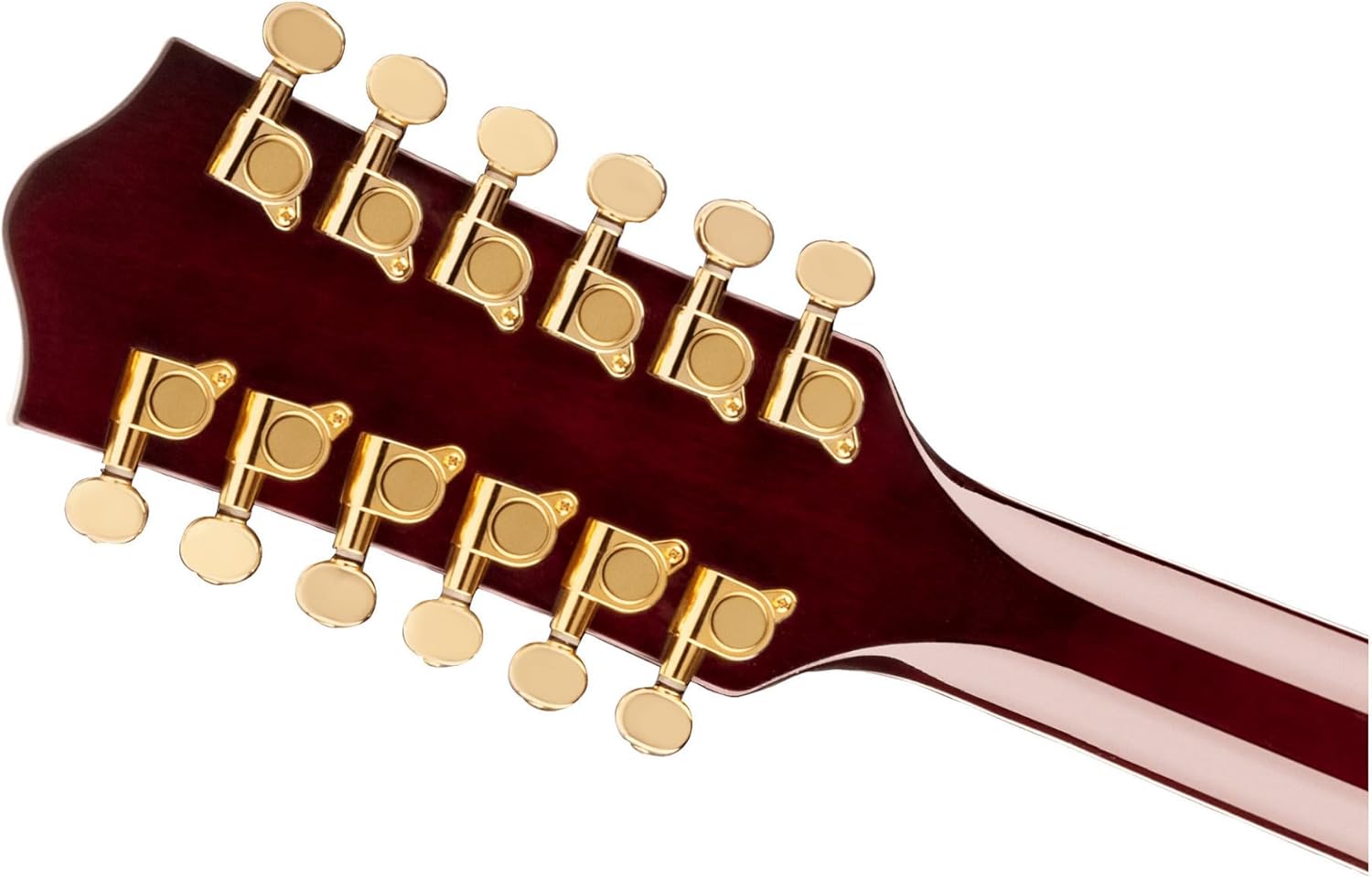 Gretsch G5422G-12 Electromatic Double-Cut 12-String Guitar Right-Handed (Walnut Stain) Bundle with Protective Sturdy Hard Case (2 Items)