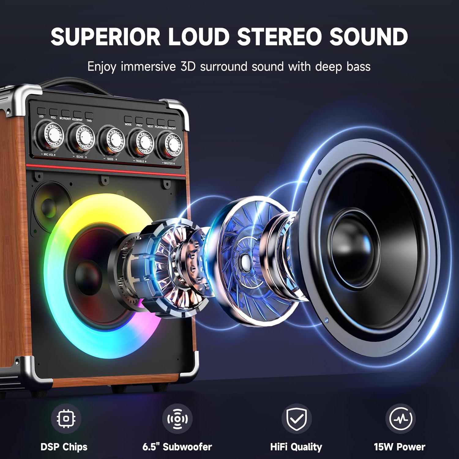 Karaoke Machine with 2 Microphones: HWWR Portable Karaoke Machine for Adults Kids Gifts, Party Bluetooth Speaker with Bass/Treble PA System with Remoter DJ Lights Support TV/REC/USB/AUX/TF (100W WOOD)