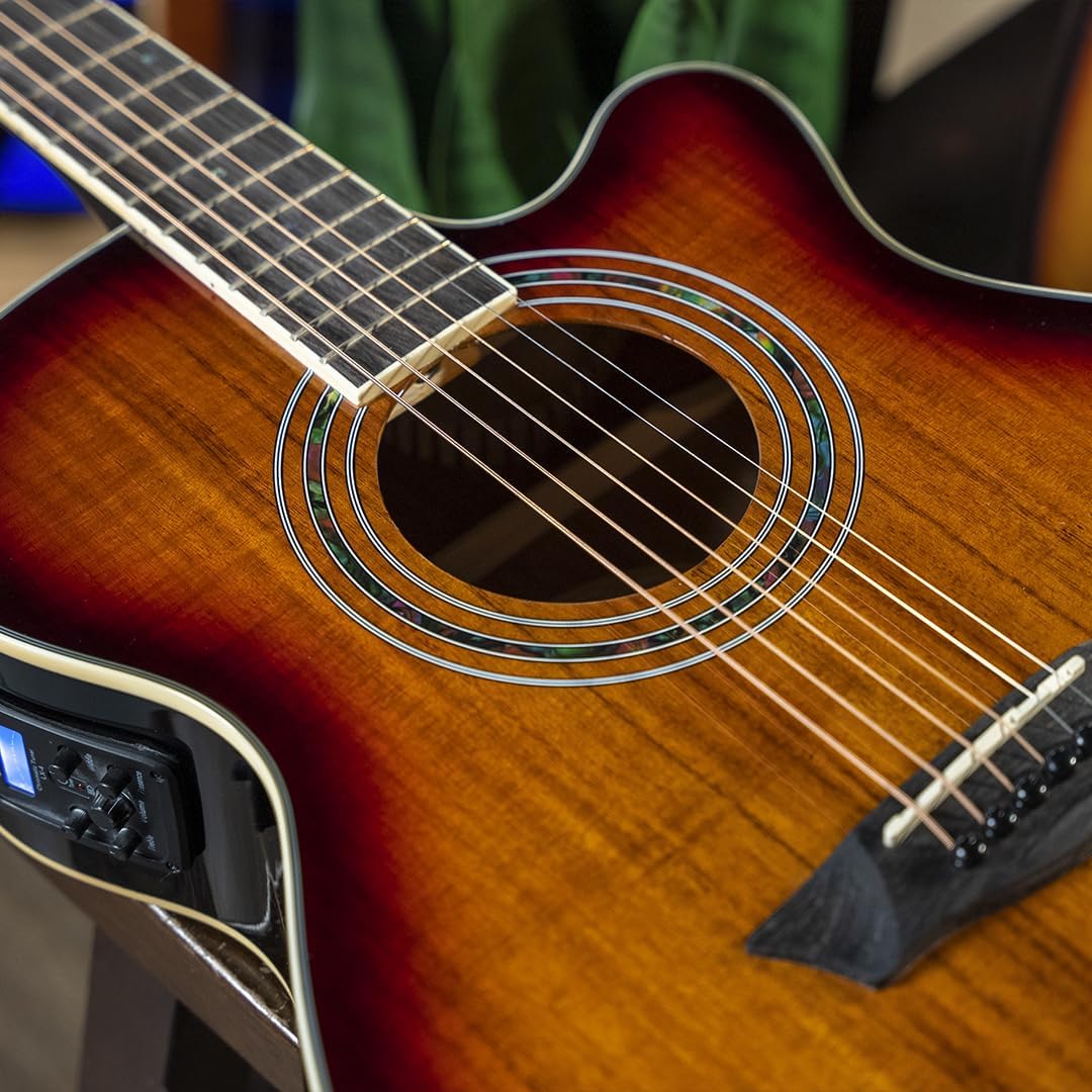 Washburn EA55G-A Festival Series Cutaway Mini Jumbo Acoustic/Electric Guitar. Koa Burst