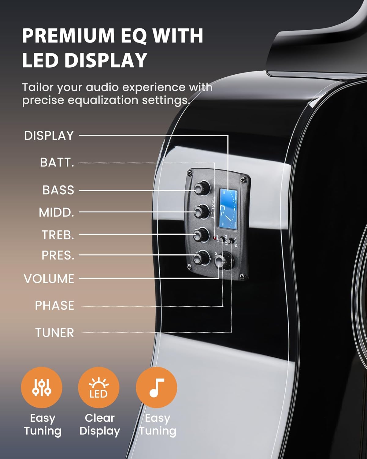 Fesley 12 String Guitar: 42